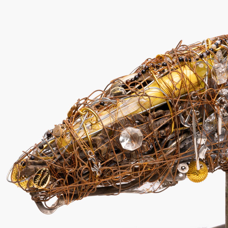 Fishes multiplication