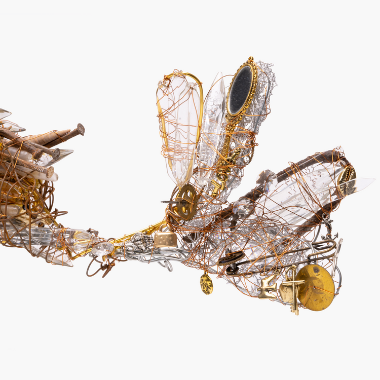 Fishes multiplication