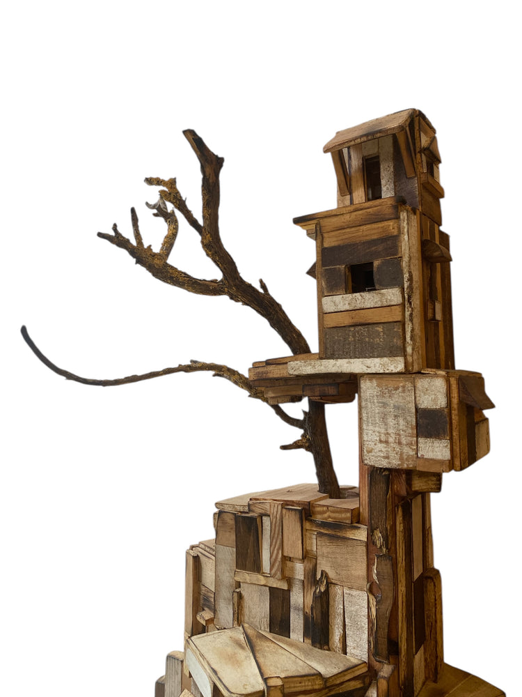 Onde Vivem os Pássaros Nº3